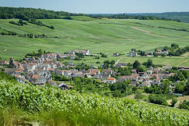 Champagne BOUCANT Emmanuel - 