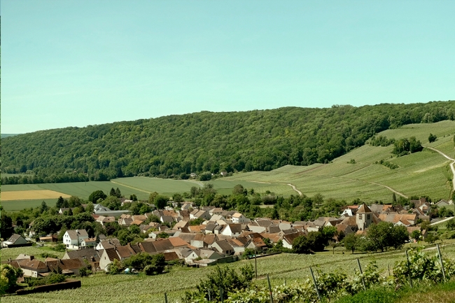 Champagne BOUCANT Emmanuel - 