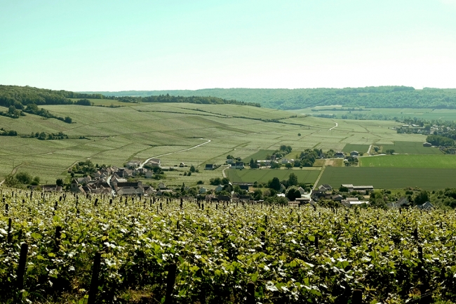 Champagne BOUCANT Emmanuel - 